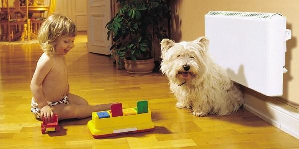 конвектор для будинку