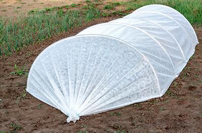 Парник из агроволокна