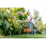 Тример Bosch EasyGrassCut 26 (06008C1J00), image _ab__is.image_number.default