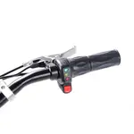 Електросамокат з сидінням DES06C1 36V1000W 12AH - SM, image _ab__is.image_number.default