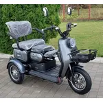 Электротрайк FADA TENi (трехколесный электроскутер) зеленый, фото 