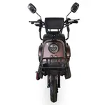 Электротрайк FADA TENi (трёхколесный электроскутер) кофейный, фото , изображение 5