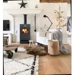 Піч-камін Blist B2 E з водяним контуром, image _ab__is.image_number.default