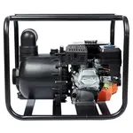 Мотопомпа бензиновая Sequoia SPP1000C, фото , изображение 5