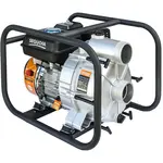 Мотопомпа бензинова Sequoia SPP1100D, image 