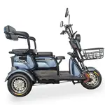 Электротрайк FADA BULLi (трехколесный электроскутер) Фиолетовый, фото , изображение 6