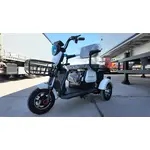 Електроскутер Forte FAMILY (білий), image _ab__is.image_number.default