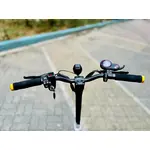 Электросамокат Kaabo Mantis 10 PLUS, фото , изображение 18