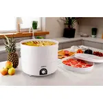 Сушарка для продуктів Ardesto FDB-5385, 520Вт, піддонів -5x4см, діаметр-38,5см, регулятор температури, пластик , білий, image _ab__is.image_number.default