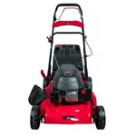 Газонокосарка бензинова Vitals Master Zp 51144td, image _ab__is.image_number.default