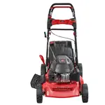 Газонокосилка бензиновая Vitals Master Zp 51170td Grand, фото , изображение 5