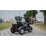 Електроскутер FORTE FAMILY-WN600 (сірий), image _ab__is.image_number.default