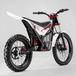 Электромотоцикл ARCTIC LEOPARD MOUNTAIN LEOPARD E-XT 500 (OFF-ROAD), фото , изображение 4