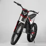 Электромотоцикл ARCTIC LEOPARD MOUNTAIN LEOPARD E-XT 500 (OFF-ROAD), фото , изображение 5