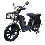 Электроскутер FORTE EM 219WS (синий), фото , изображение 2