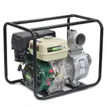 Мотопомпа Iron Angel WPG 100