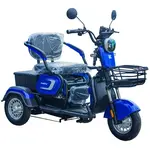 Електроскутер Forte FAMILY-WS600 Синій, image 