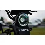 Электроскутер Forte S1-P600 (Черный), фото , изображение 5
