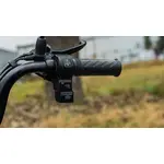 Электроскутер Forte S1-P600 (Черный), фото , изображение 13