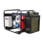 Бензиновый генератор EUROPOWER EP 13500 TE