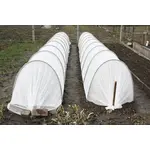 Парник Подснежник 8 метров, фото , изображение 2