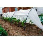 Парник Подснежник 4 метра, фото 