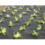 Агроволокно Agreen 50 (3,2*5) черное пакет, фото , изображение 2