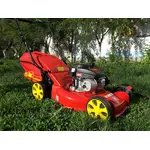 Газонокосилка IRON ANGEL A4600, фото , изображение 3