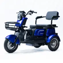 Електроскутер Forte FAMILY-WS1000 Синій, image 