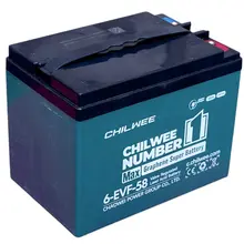 Аккумулятор AGM CHILWEE 6-EVF-58.2 12V58AH, image 