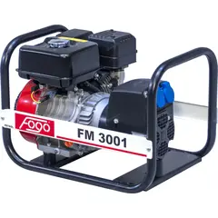 Генератор бензиновый Fogo FM 3001, фото 