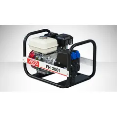 Генератор бензиновый Fogo FH 3001, фото 