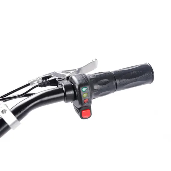 Електросамокат з сидінням DES06C1 36V1000W 12AH - SM, image _ab__is.image_number.default