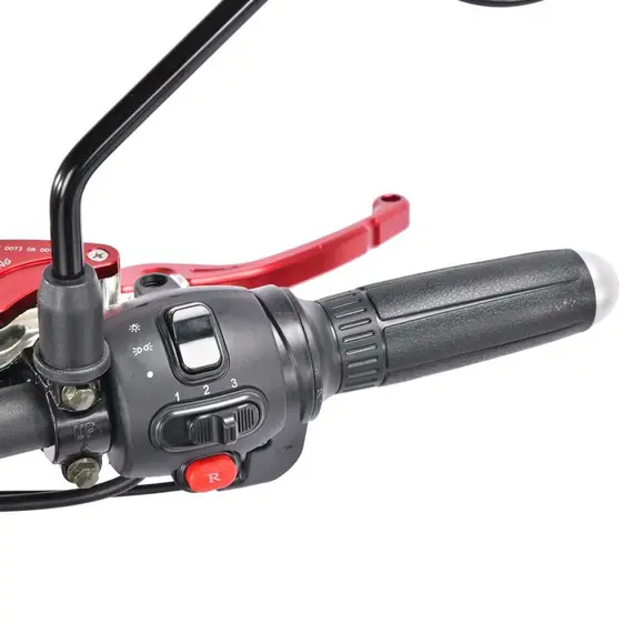 Електротрайк WS-ELECTRO PRO TRIKE 3000W Black, image _ab__is.image_number.default