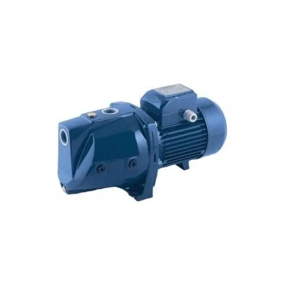 Насос WERK JSW10M