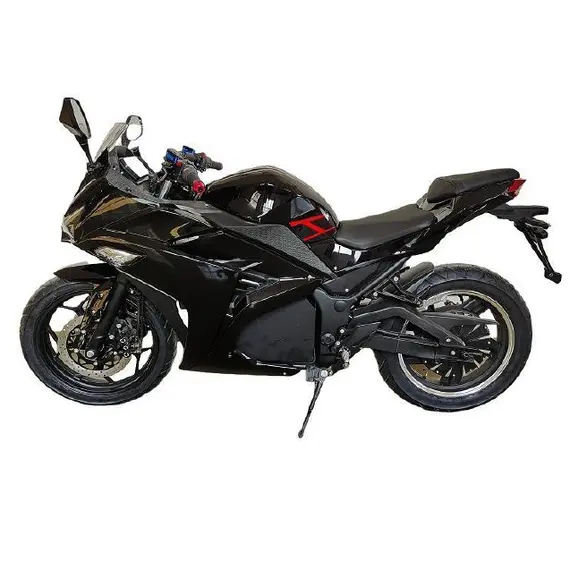 Електричний мотоцикл Renegade A1-4 Standard, image 