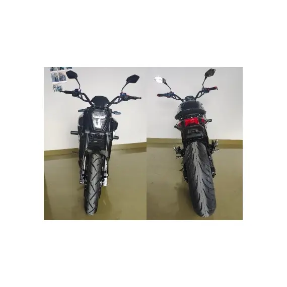 Электрический мотоцикл Renegade DMG Wheel Drive STD, фото , изображение 4