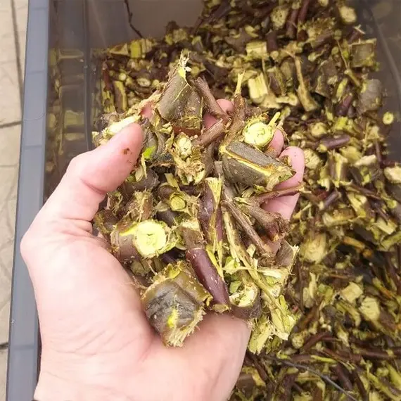 Измельчитель веток AL-KO Easy Crush LH 2810, фото , изображение 11