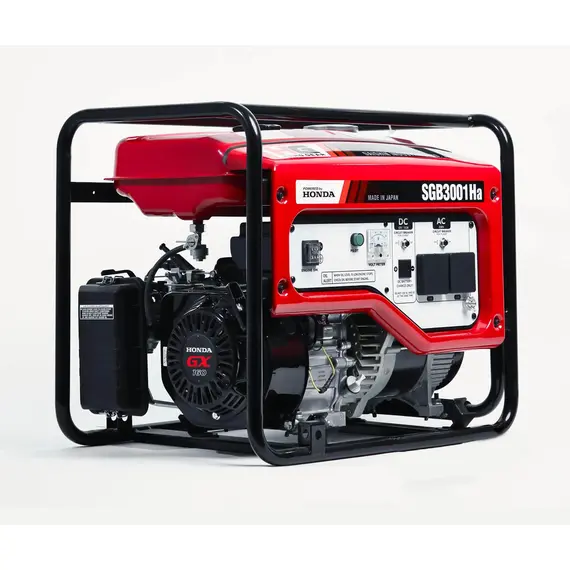 Генератор бензиновий Daishin SGB3001Ha, image 