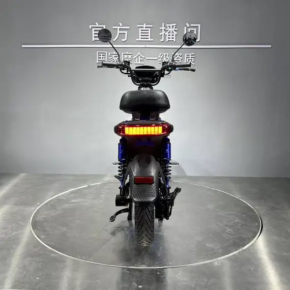 Электроскутер Forte U1 (Зеленый), фото , изображение 6