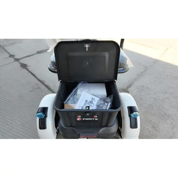 Електроскутер Forte FAMILY (білий), image _ab__is.image_number.default