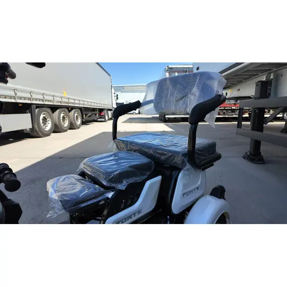 Електроскутер Forte FAMILY (білий), image _ab__is.image_number.default