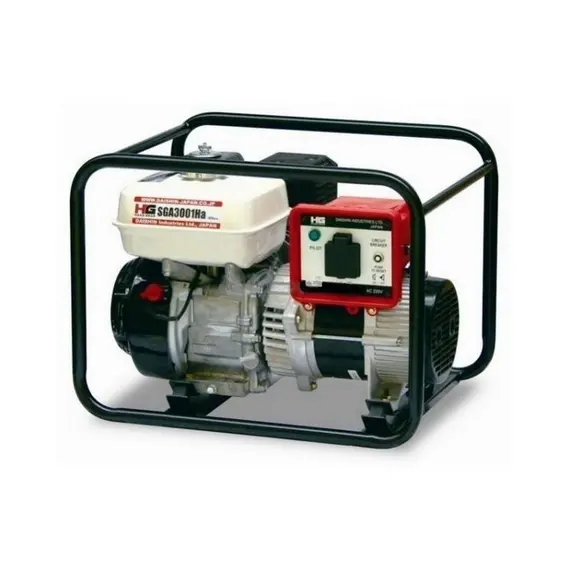 Бензиновий генератор Daishin SGA3001HA, image 