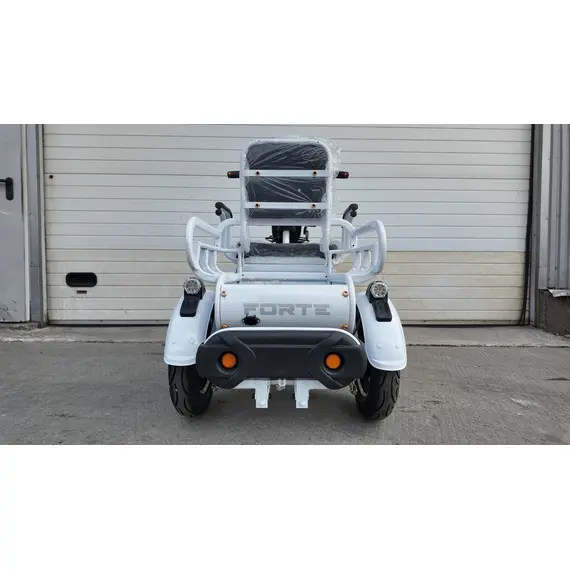 Электроскутер Forte CARGO (белый), фото , изображение 4