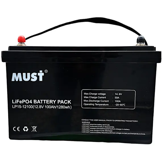 Аккумулятор Must (Forte) LiFePO4 LP15-12100 (12.8V/100Ah), фото , изображение 8