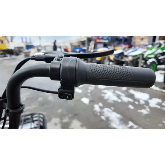 Електроскутер Forte LUCKY (чорний), image _ab__is.image_number.default