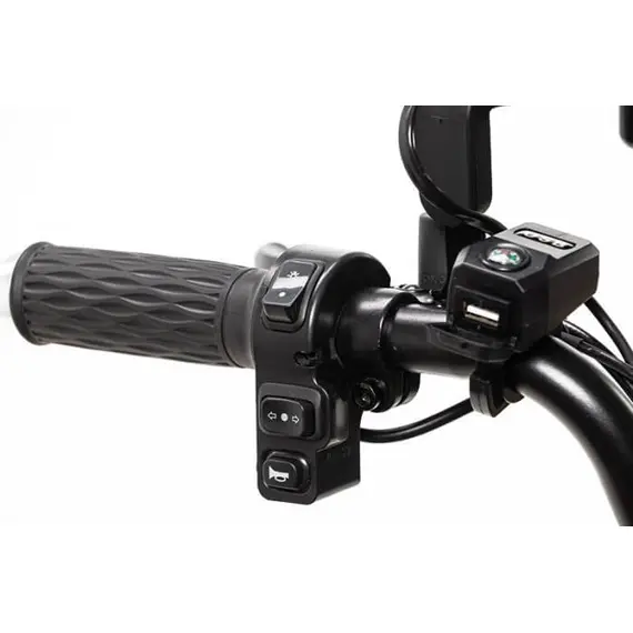 Электротрайк Crosser TR4 Vagon (трехколесный электроскутер) красный 800w, фото , изображение 14