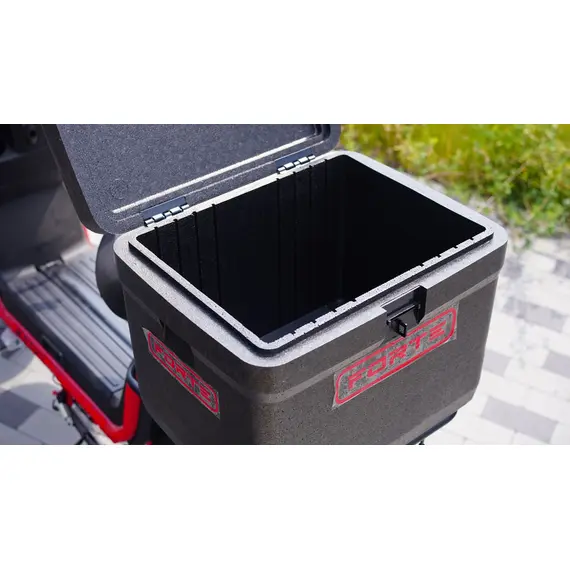 Электроскутер Forte U1 (Красный), фото , изображение 10