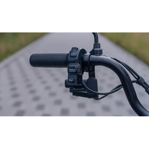 Електротрайк Maxxter ANT (триколісний електроскутер) чорний, image _ab__is.image_number.default