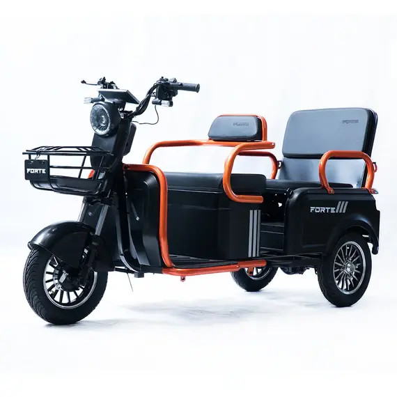 Електроскутер FORTE CARGO-WN800 (чорний), image 